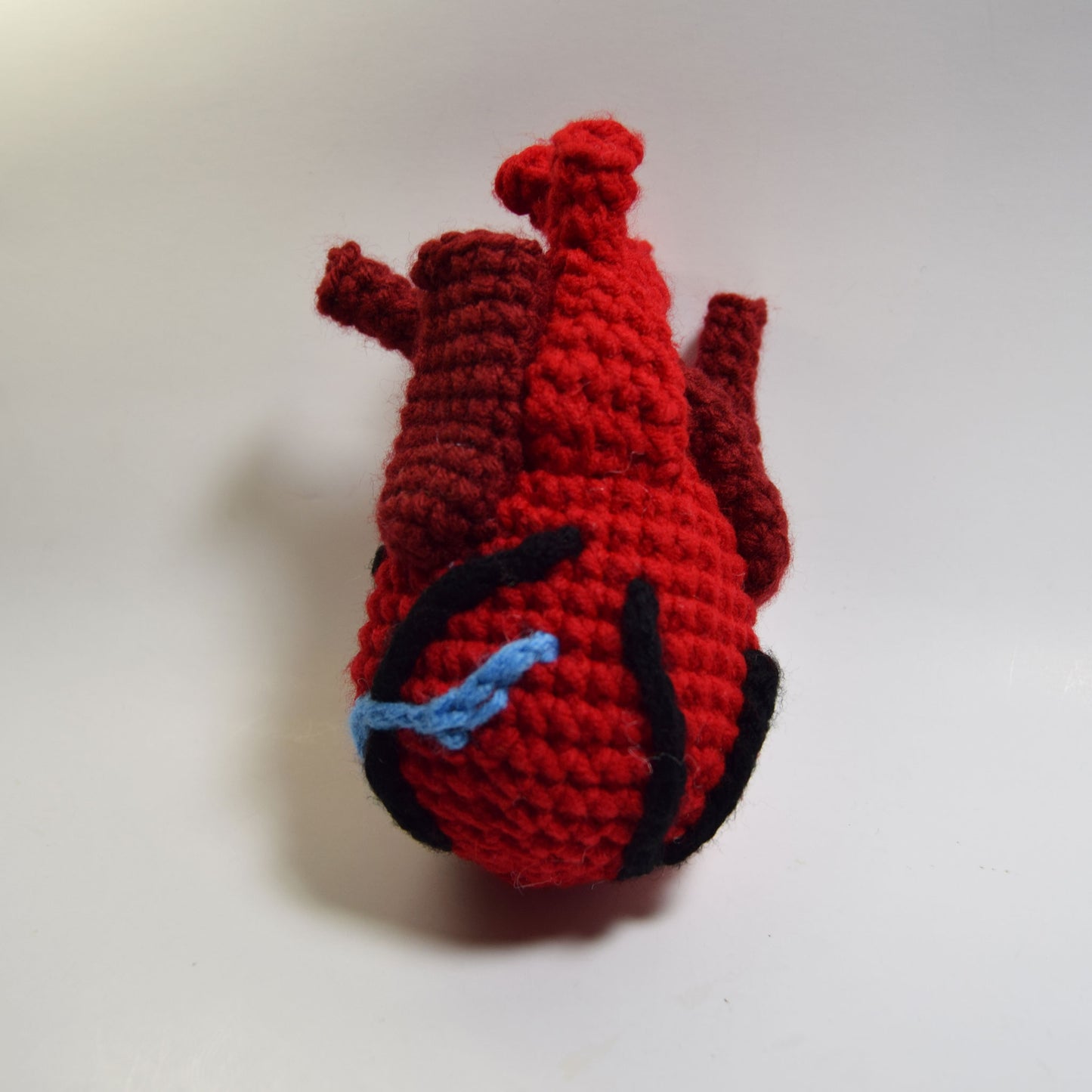 Anatomical Heart Crochet Pattern