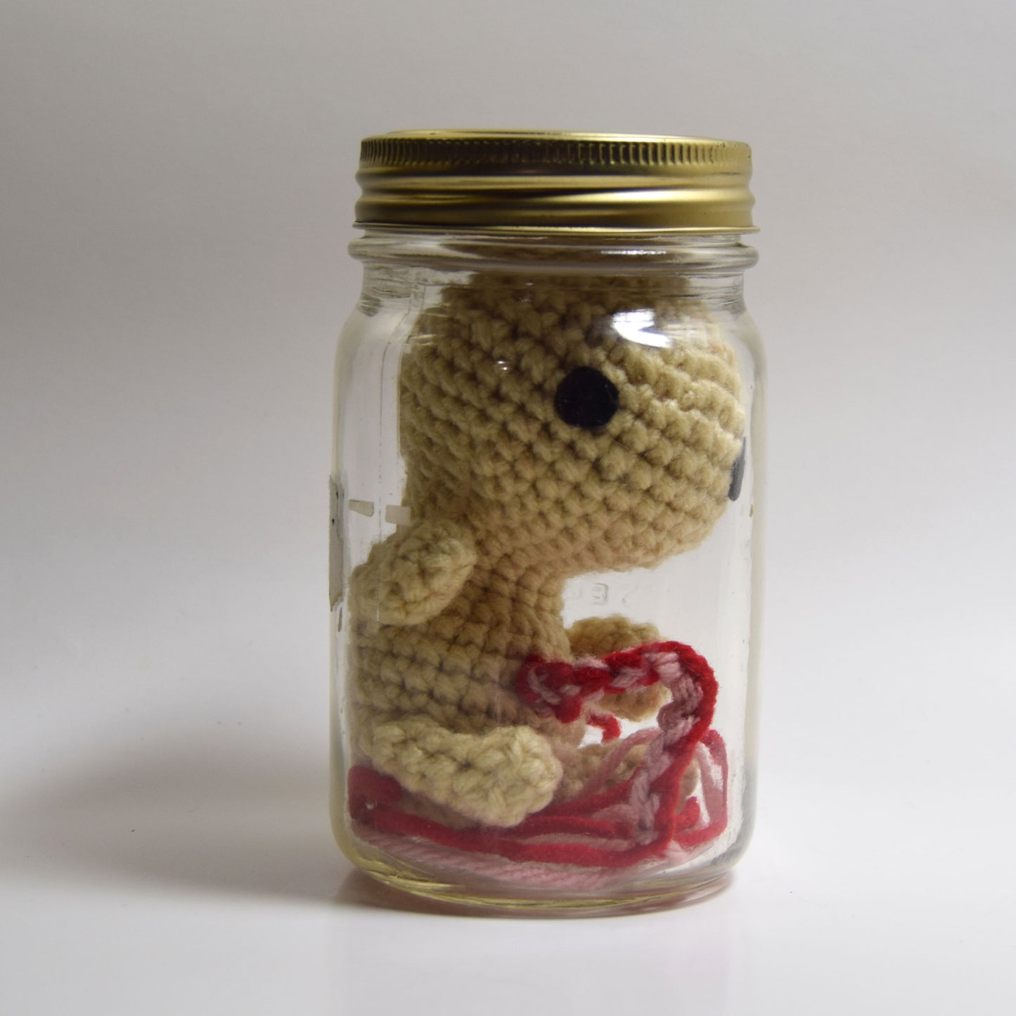 Fetuses Crochet Pattern