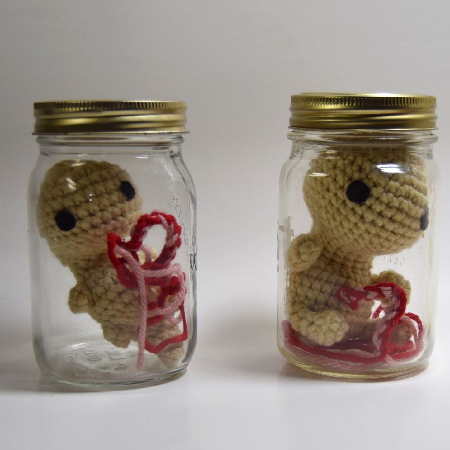 Fetuses Crochet Pattern