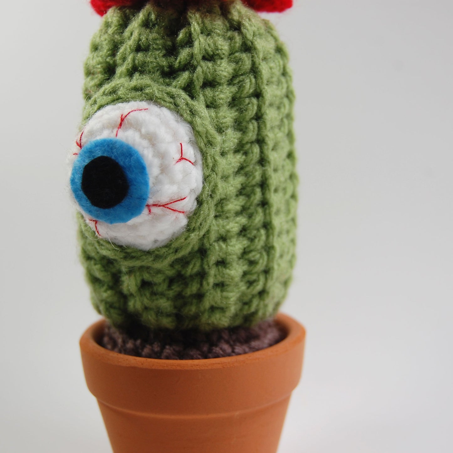 Eyeball Cactus Pattern Pack