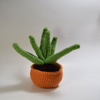 Aloe Plant Pattern + Coloring Page