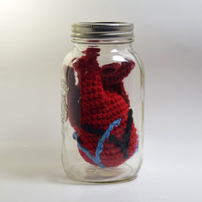 Anatomical Heart Crochet Pattern