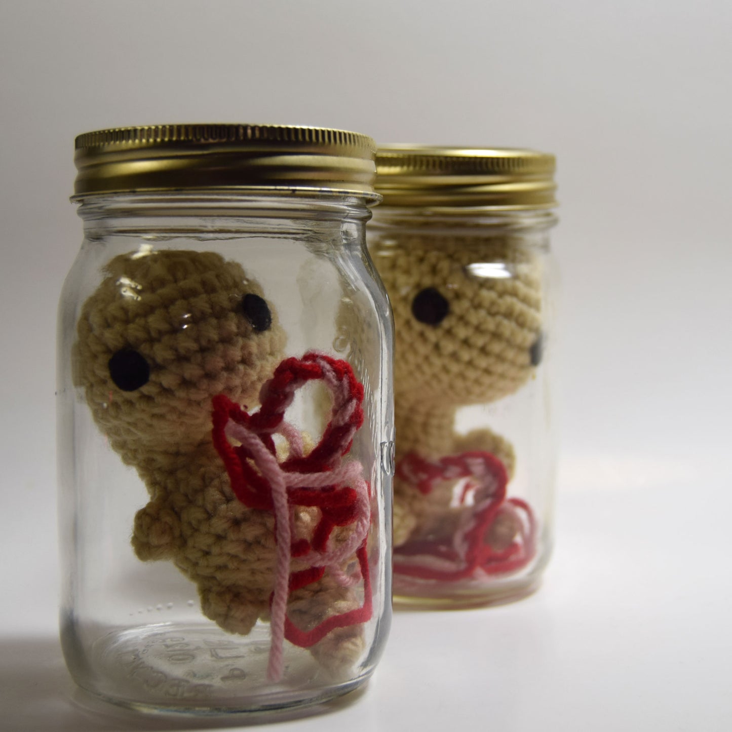 Fetuses Crochet Pattern