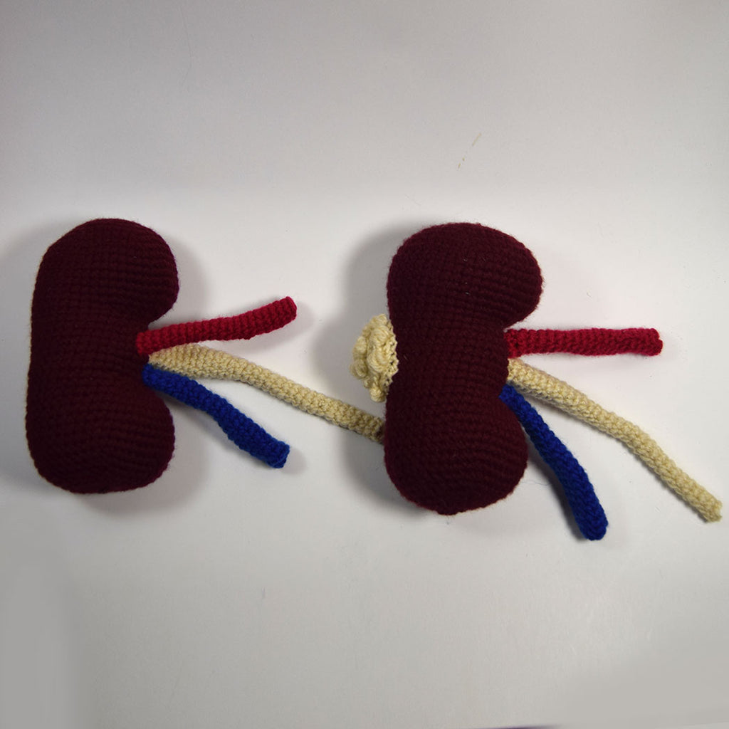 Kidney Crochet Pattern