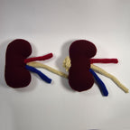 Kidney Crochet Pattern