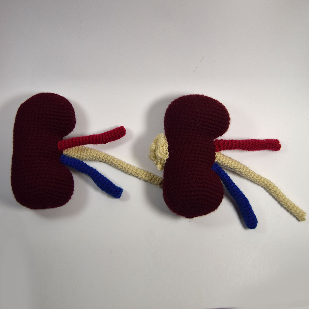 Kidney Crochet Pattern
