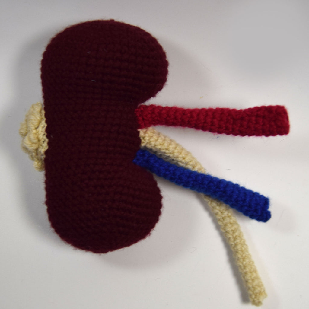 Kidney Crochet Pattern