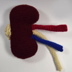 Kidney Crochet Pattern