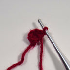 Kidney Crochet Pattern