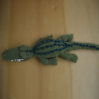Ramon the Alligator