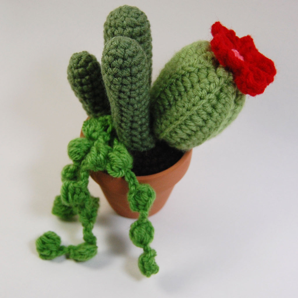 Cactus Garden Crochet Pattern