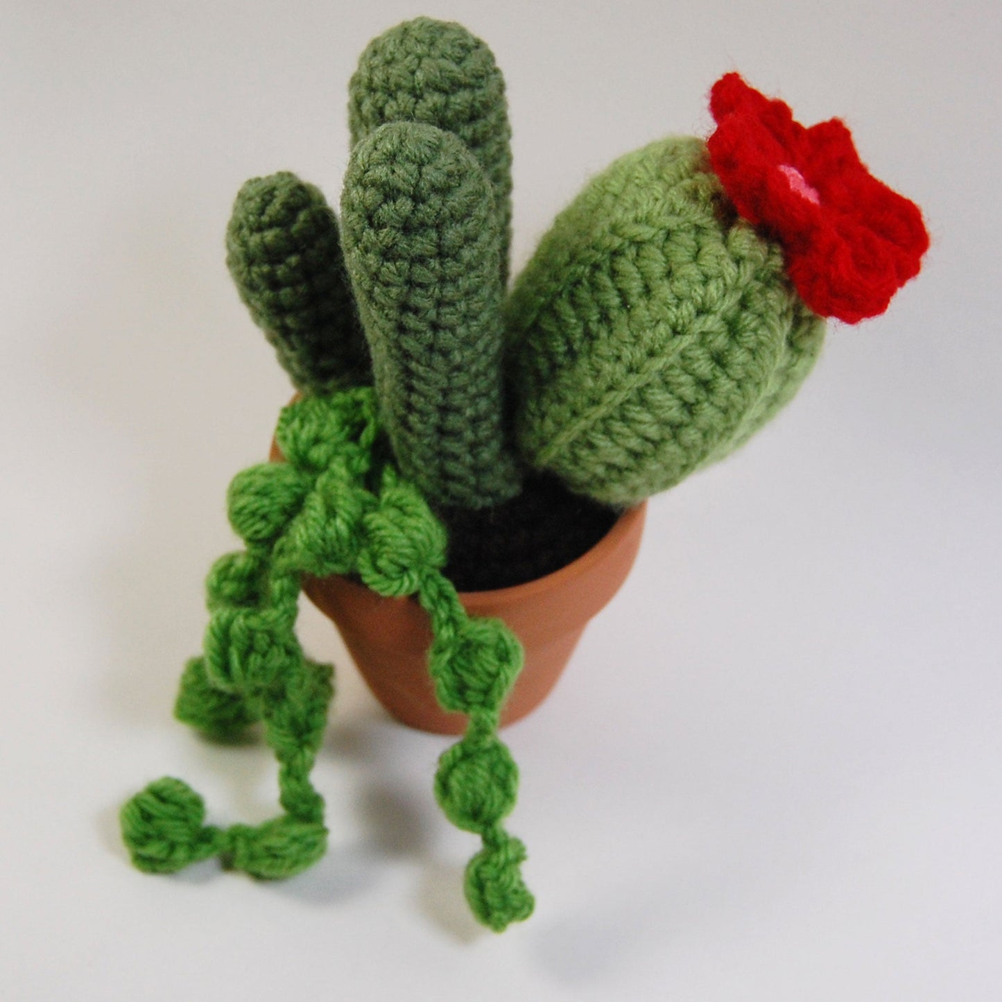Cactus Garden (made to order)