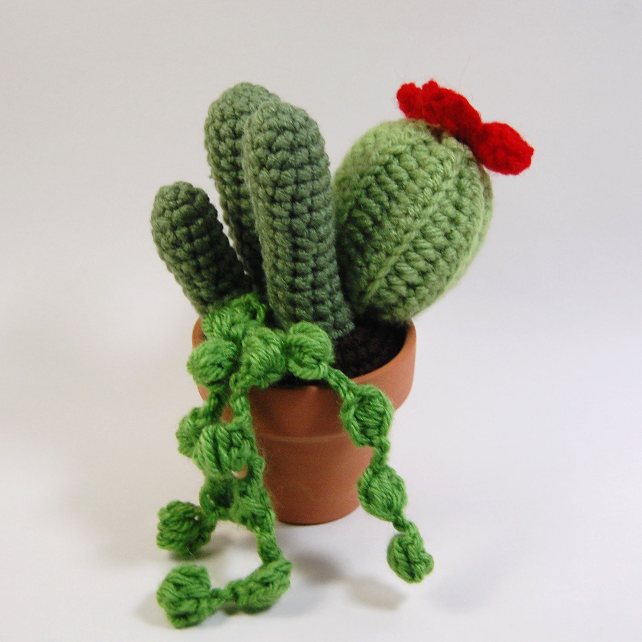 Cactus Garden Crochet Pattern