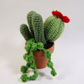 Cactus Garden (made to order)