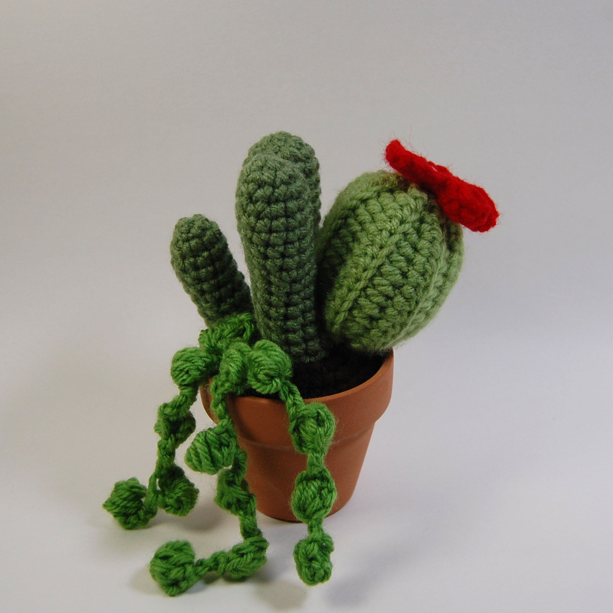Cactus Garden Crochet Pattern