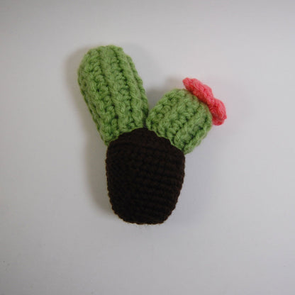 Barrel Cactus (made to order)