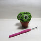 Crochet Coral Cactus (made to order)