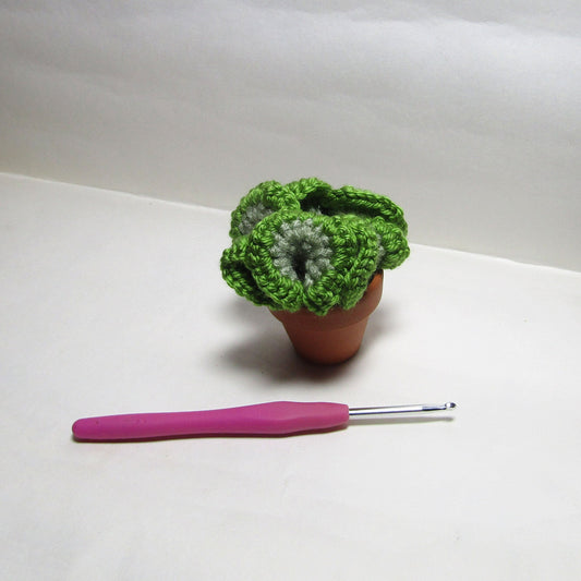 Crochet Coral Cactus (made to order)