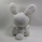 Bunny with Carrot Pattern