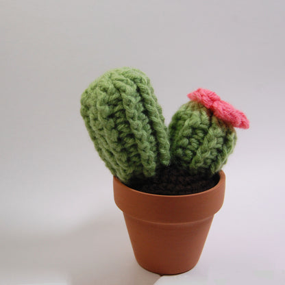 Barrel Cactus Crochet Pattern