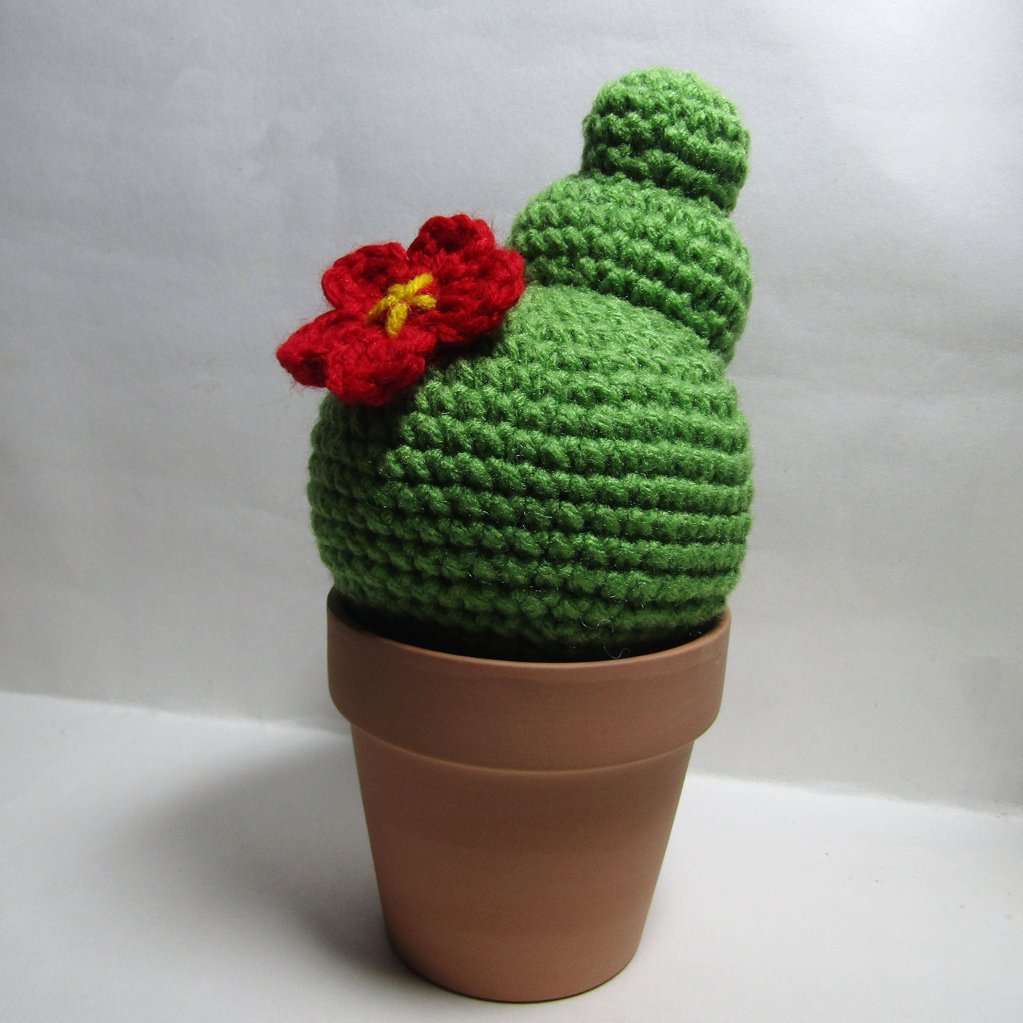 Ball Cactus Amigurumi (made to order)
