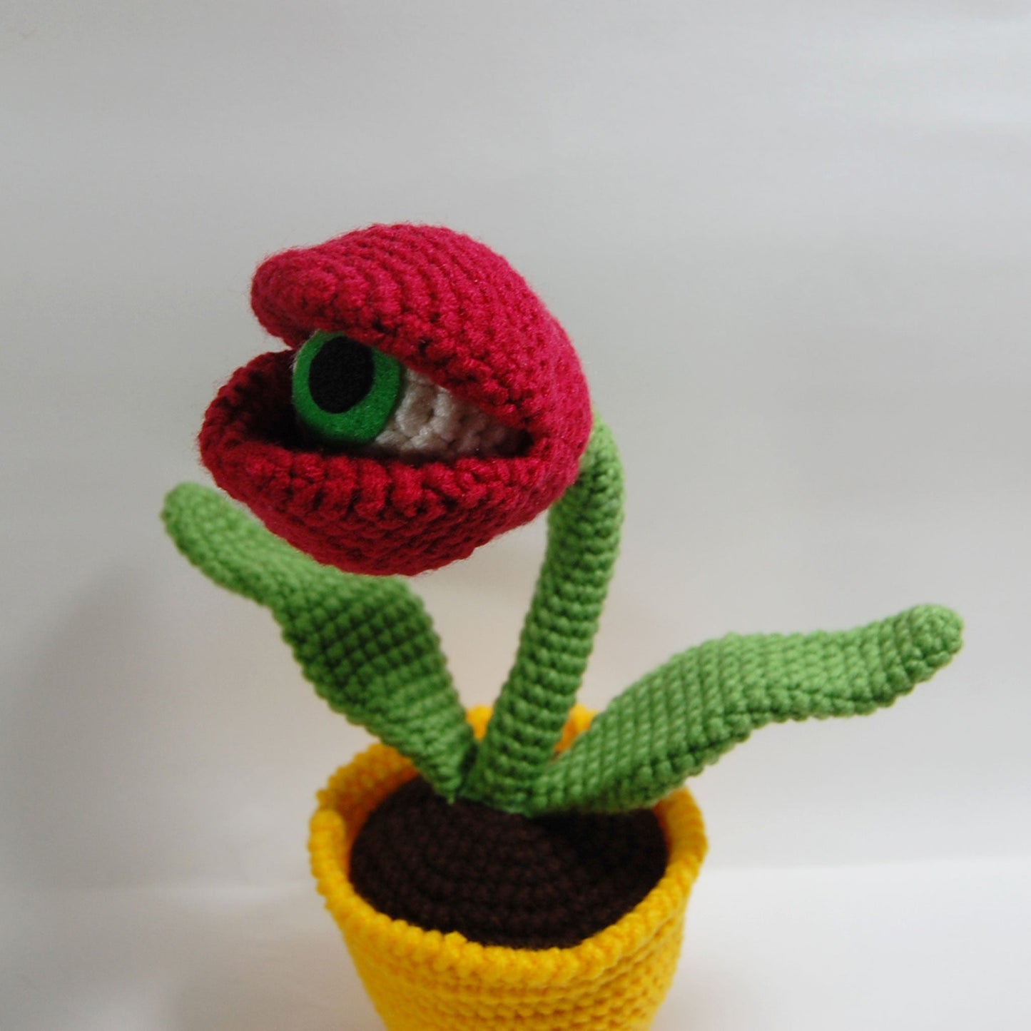 Eyeball Tulip Plant (made to order)