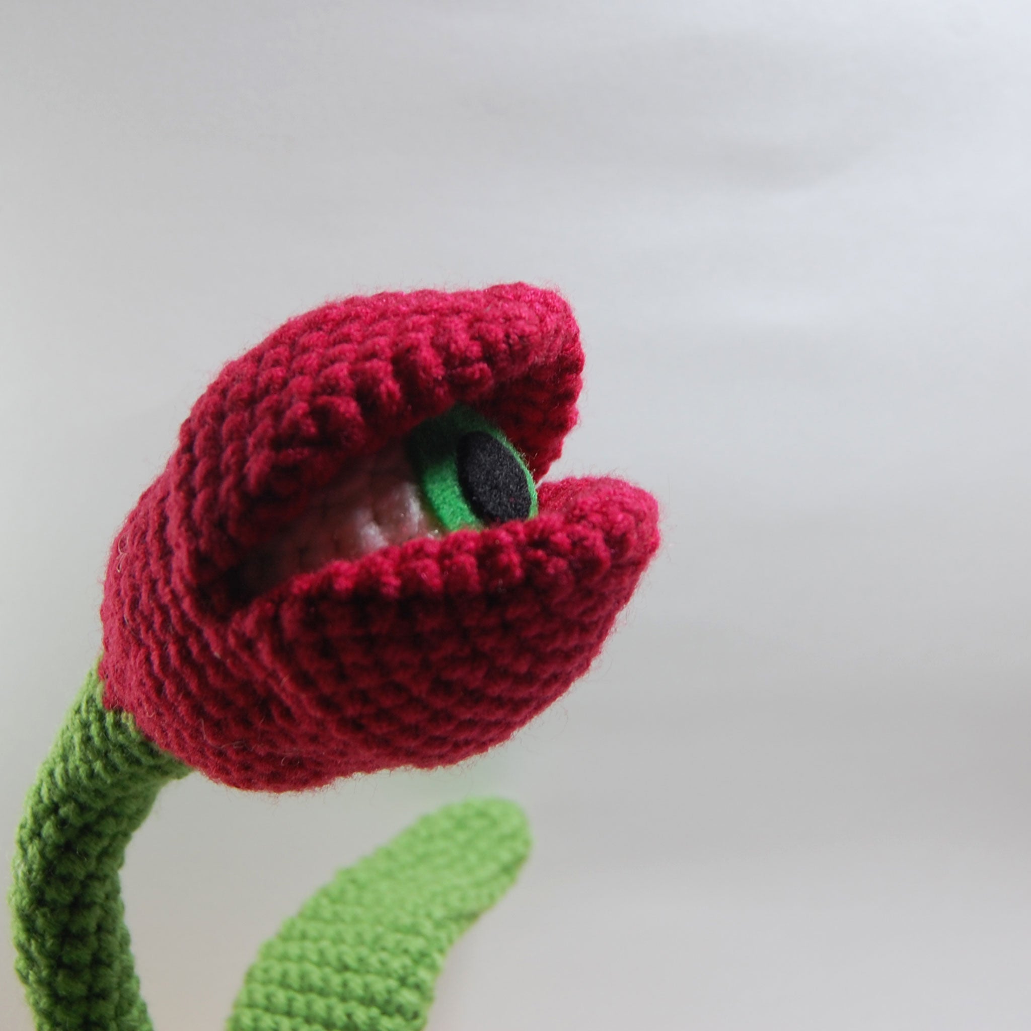 Eyeball Tulip Pattern