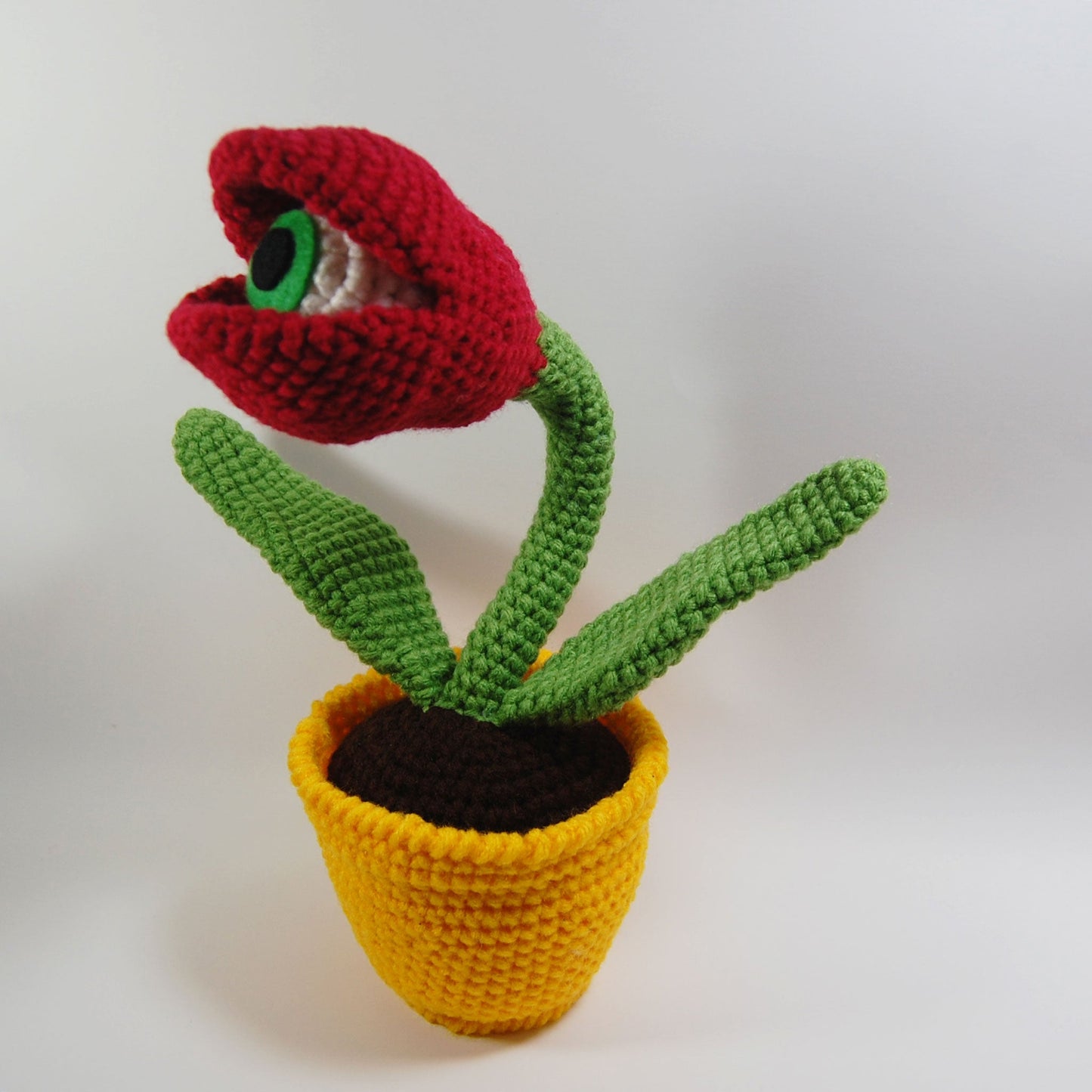 Eyeball Tulip Plant (made to order)