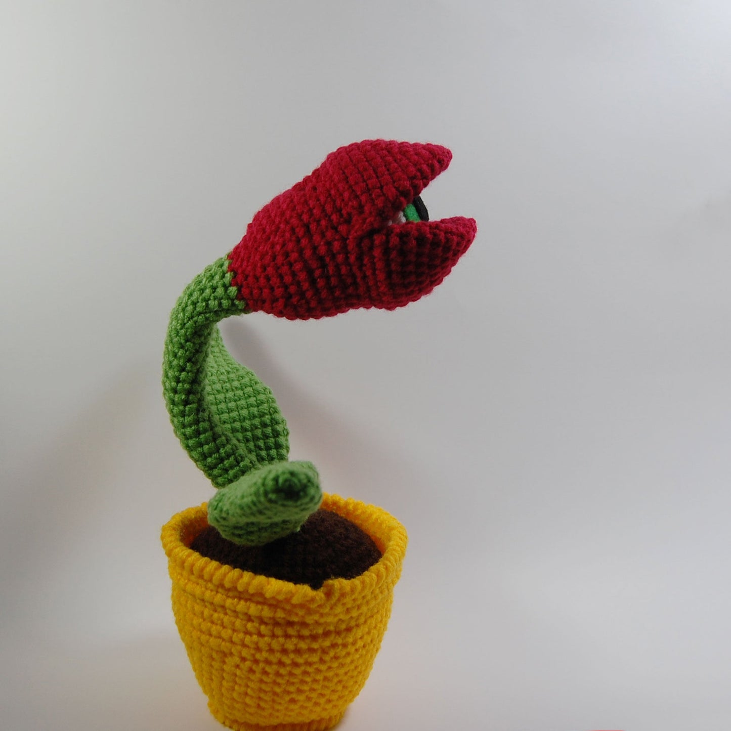 Eyeball Tulip Plant (made to order)