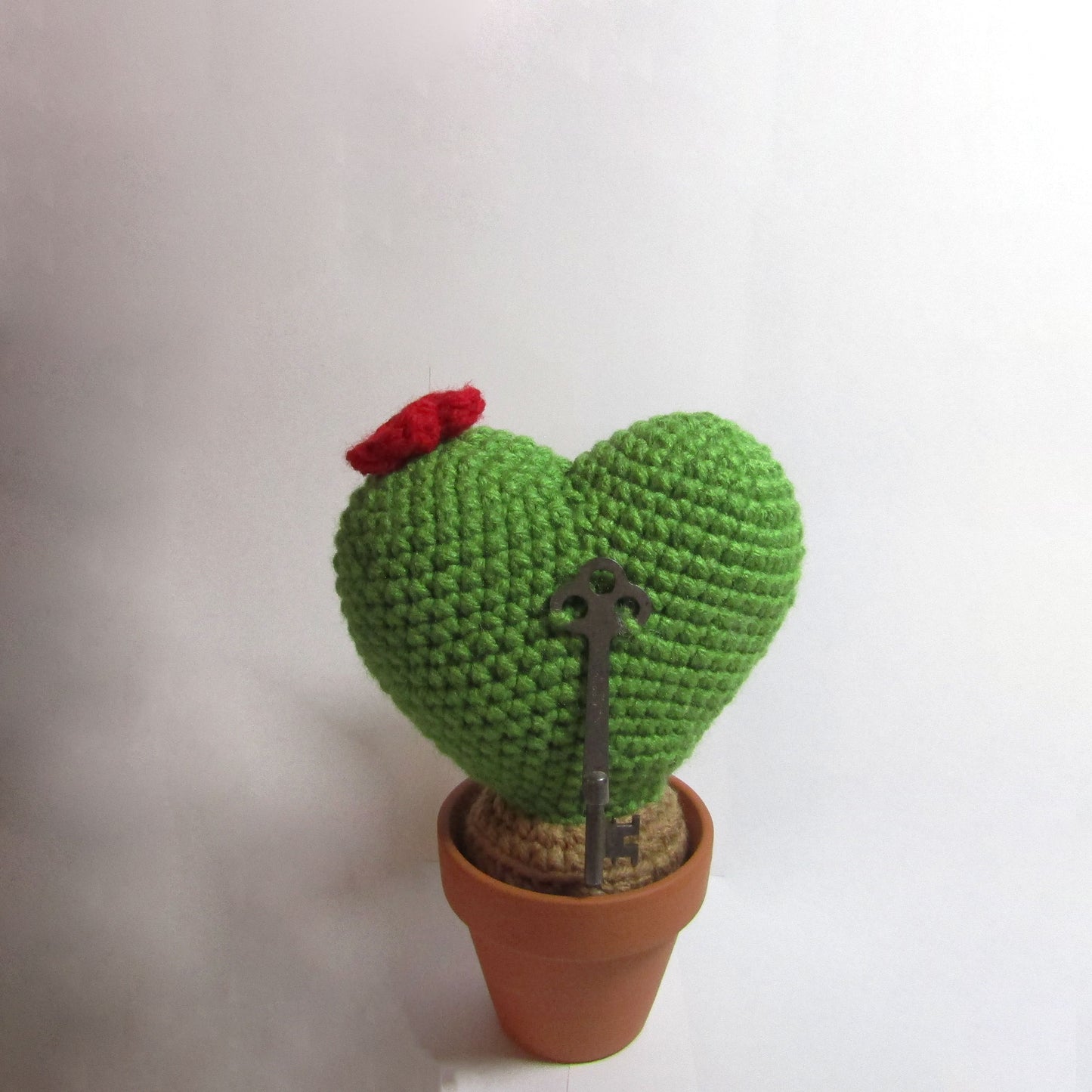 Key To My Heart Cactus Pattern