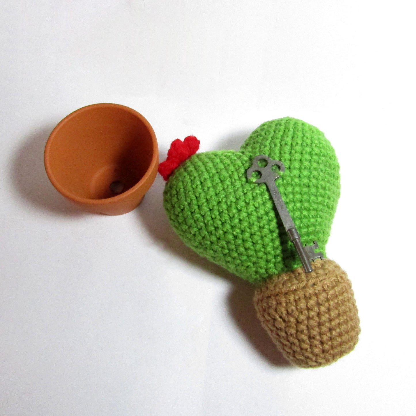 Key To My Heart Cactus Pattern