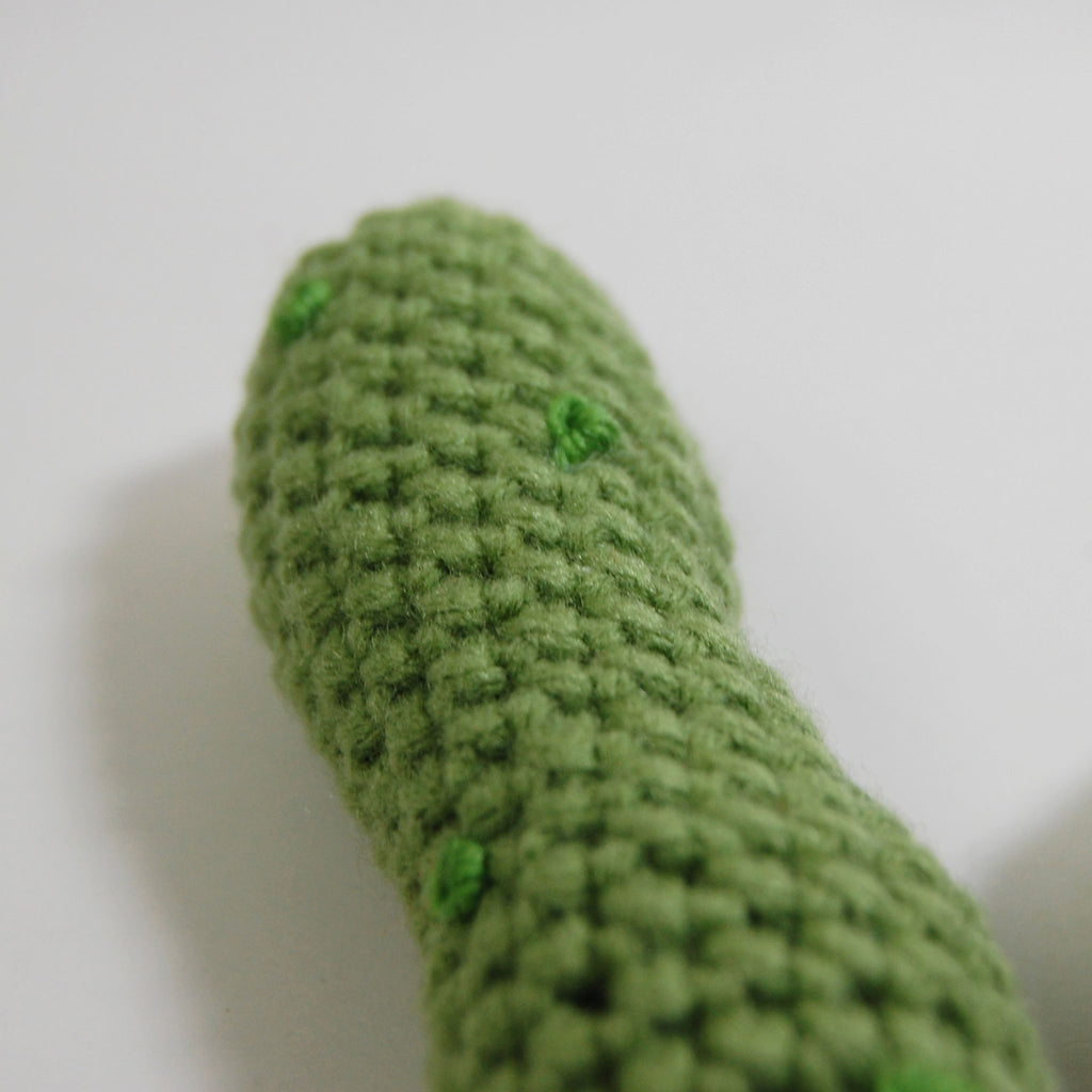 Pickle Crochet Pattern
