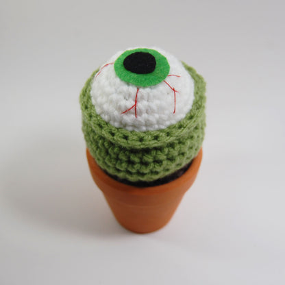 Short Eyeball Cactus