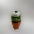 Short Eyeball Cactus