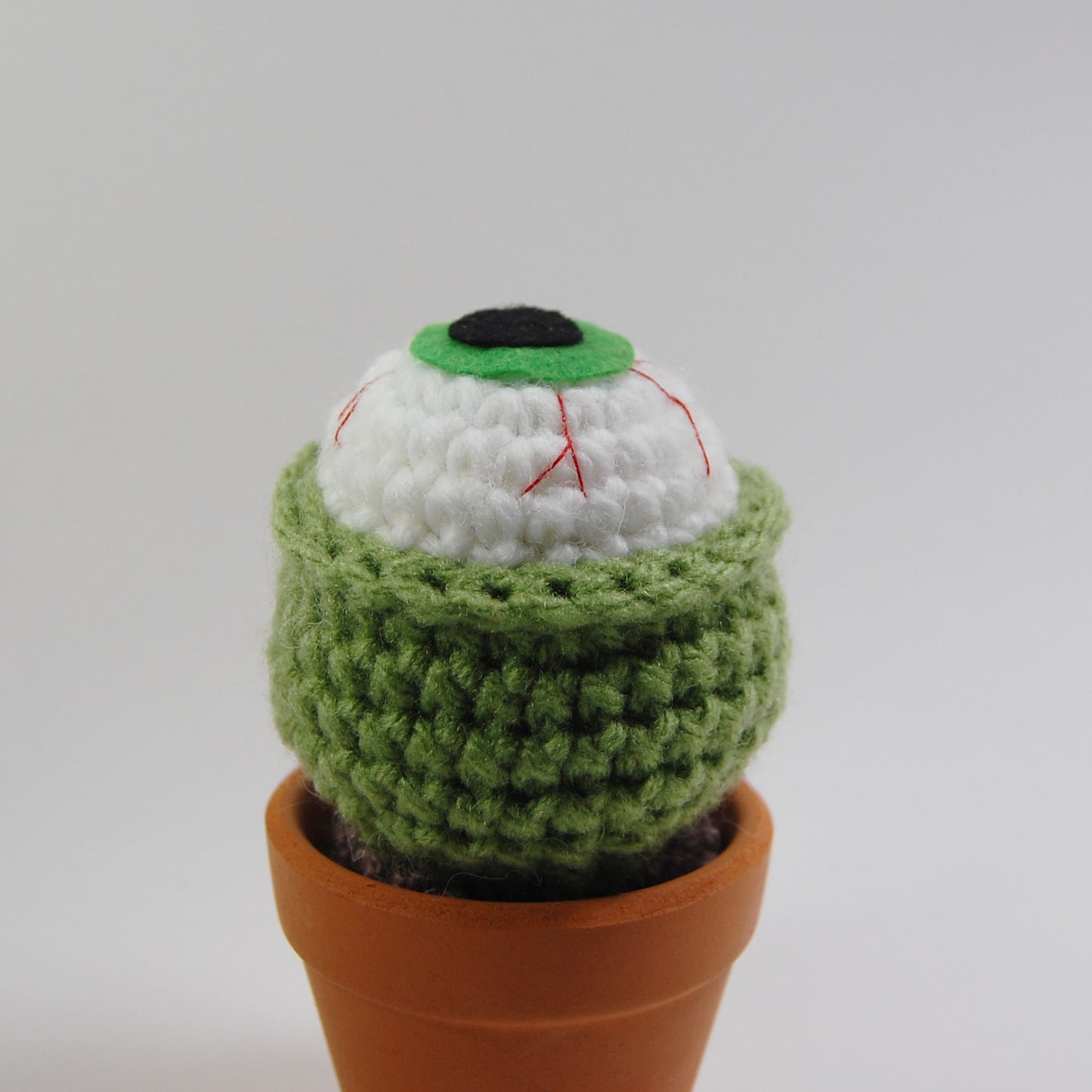 Short Eyeball Cactus