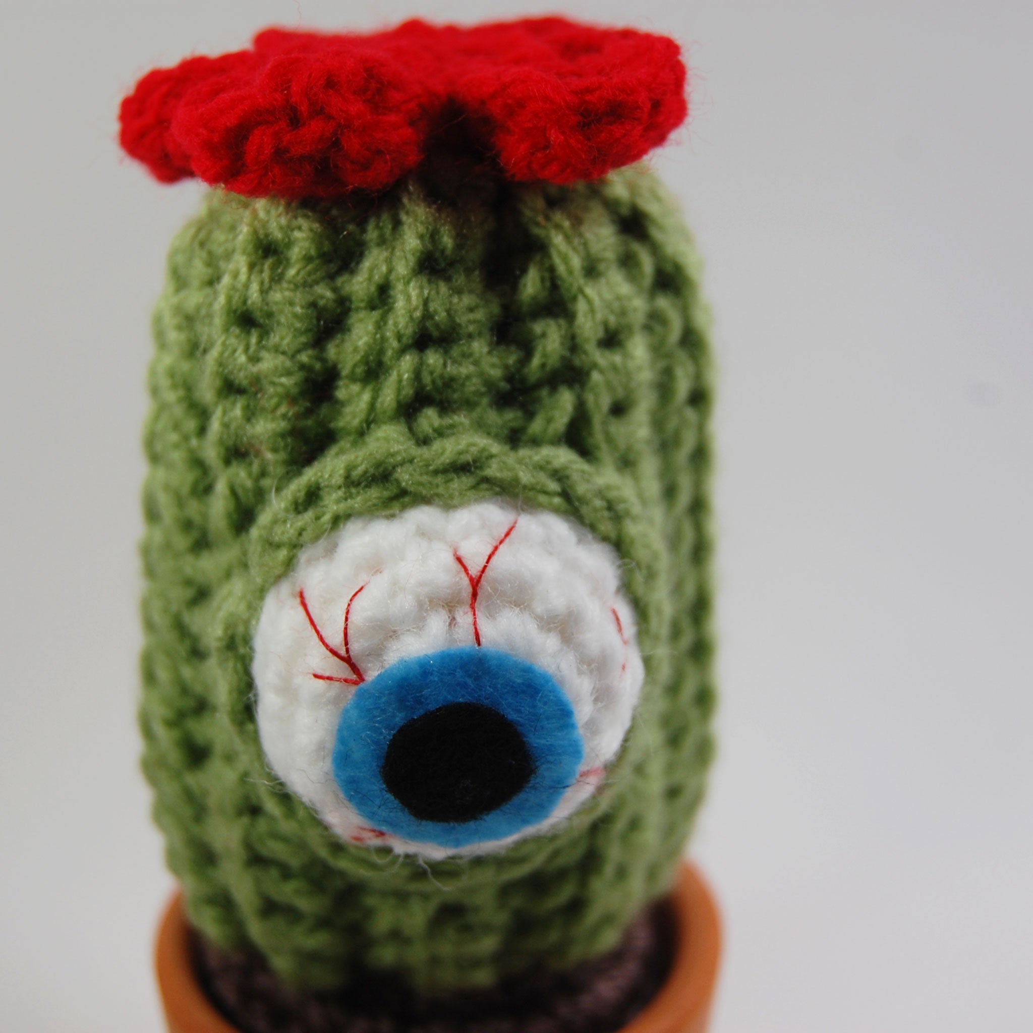 Tall Eyeball Cactus