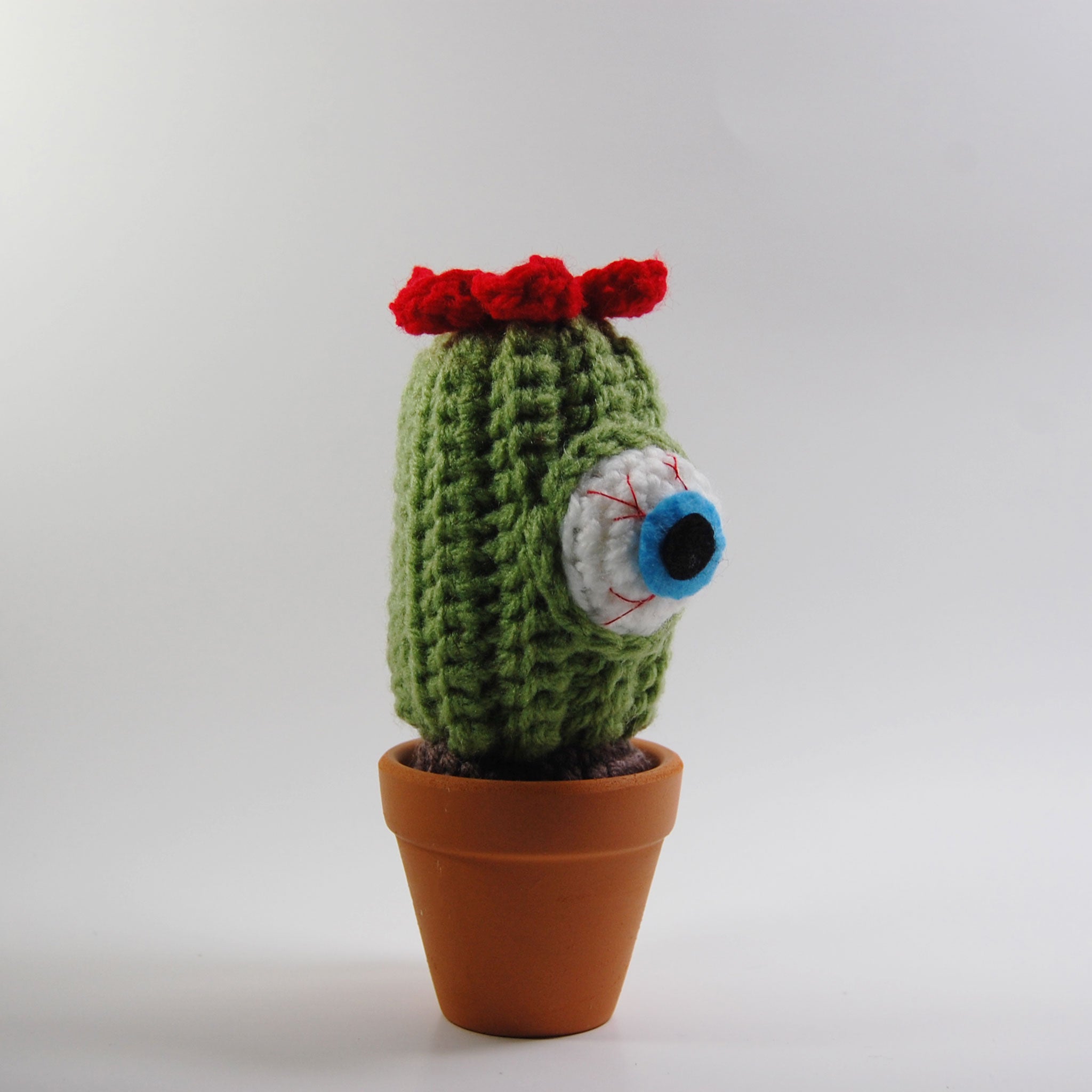 Tall Eyeball Cactus