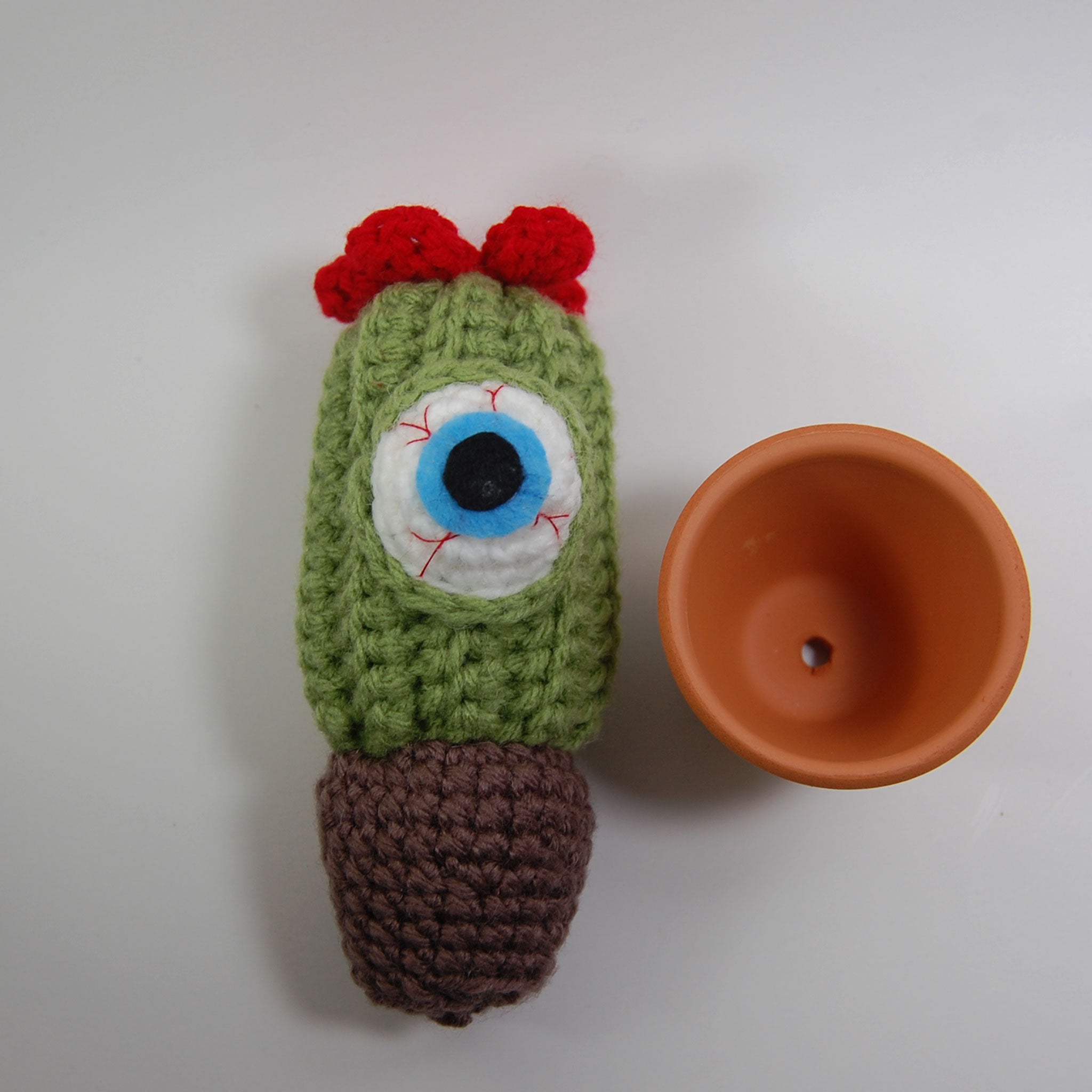 Tall Eyeball Cactus